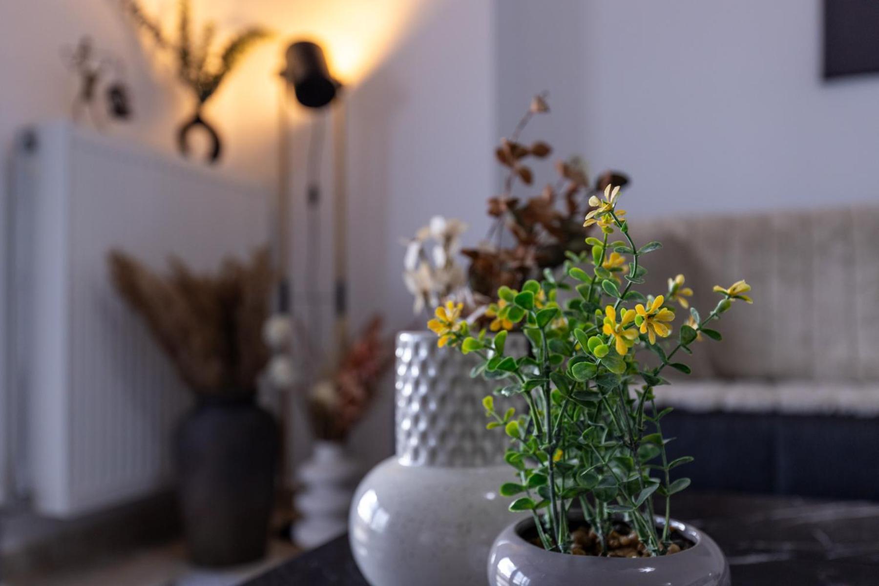 Luxury Central Apartment 2 İskeçe Dış mekan fotoğraf